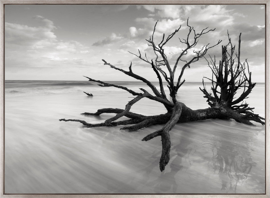 Nature Whisper III (Canvas)