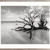 Nature Whisper III