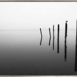 Nature Whisper IV (Canvas)