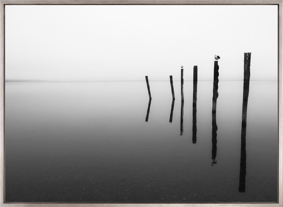 Nature Whisper IV (Canvas)