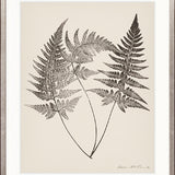 Nature Print XIII