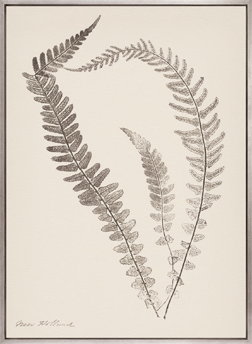 Nature Print XIV (Canvas)