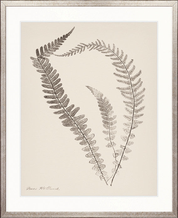 Nature Print XIV