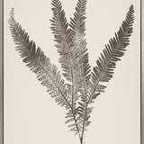 Nature Print XVI (Canvas)