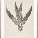 Nature Print XVI