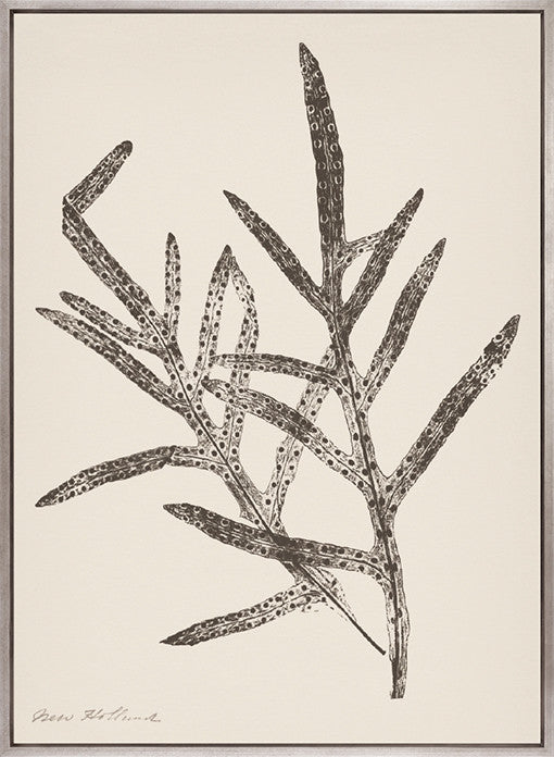 Nature Print XVII (Canvas)