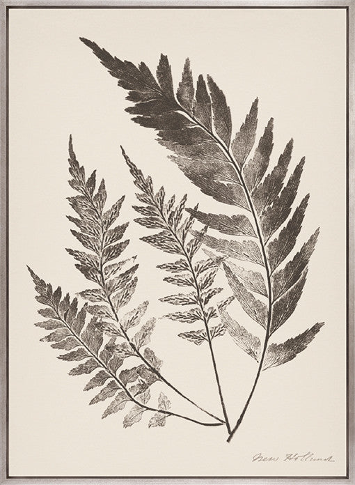 Nature Print XVIII (Canvas)