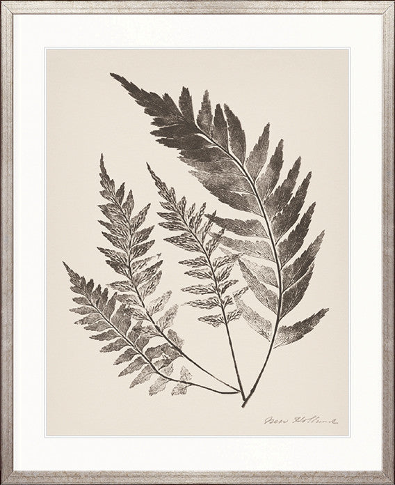 Nature Print XVIII