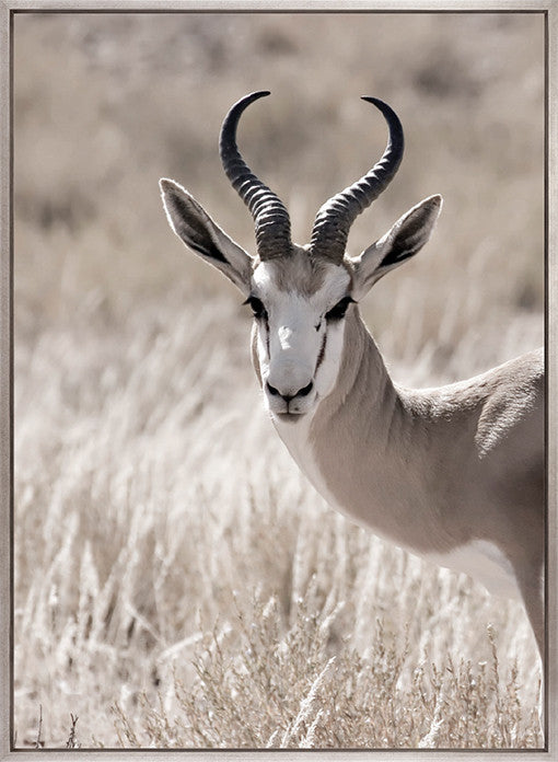 Wild Safari I (Canvas)