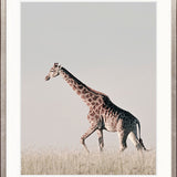 Wild Safari II