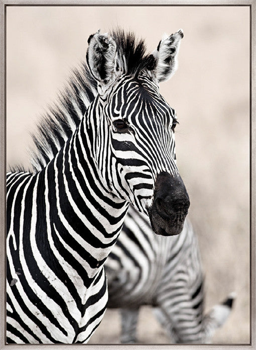 Wild Safari V (Canvas)