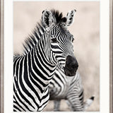 Wild Safari V