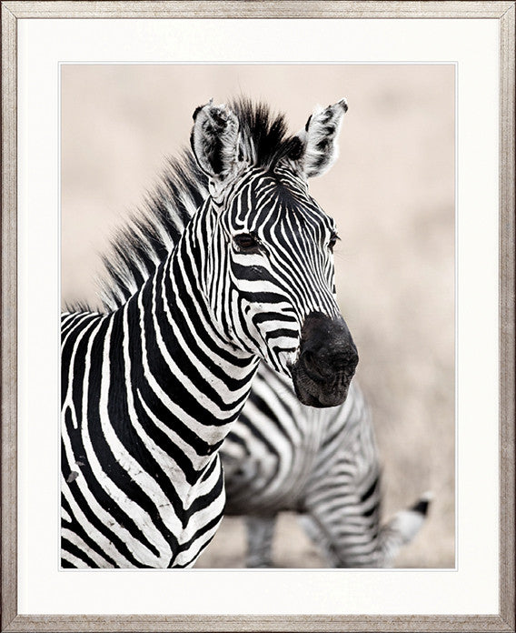 Wild Safari V