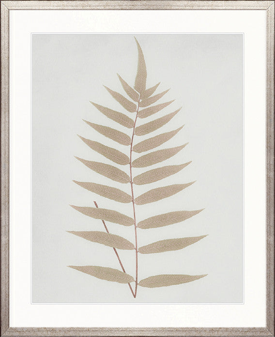 Forest Fern I