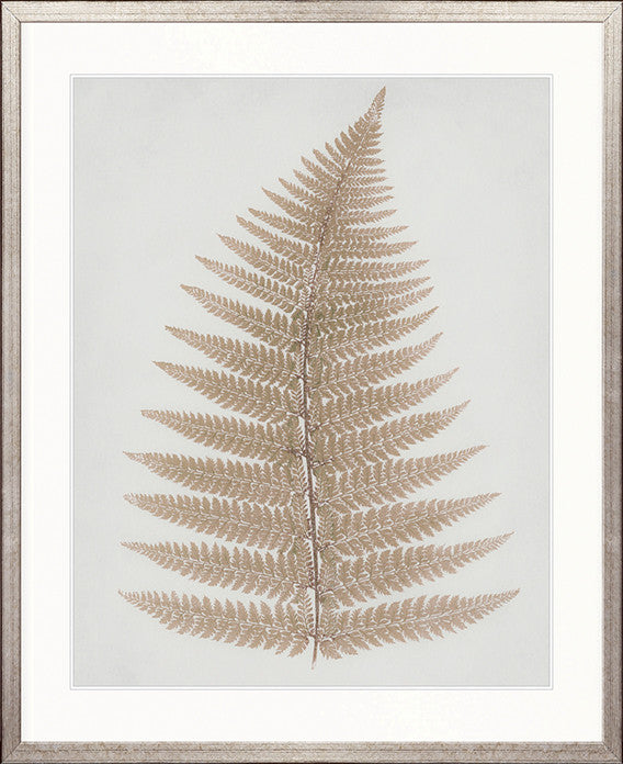 Forest Fern V