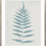 Forest Fern VI