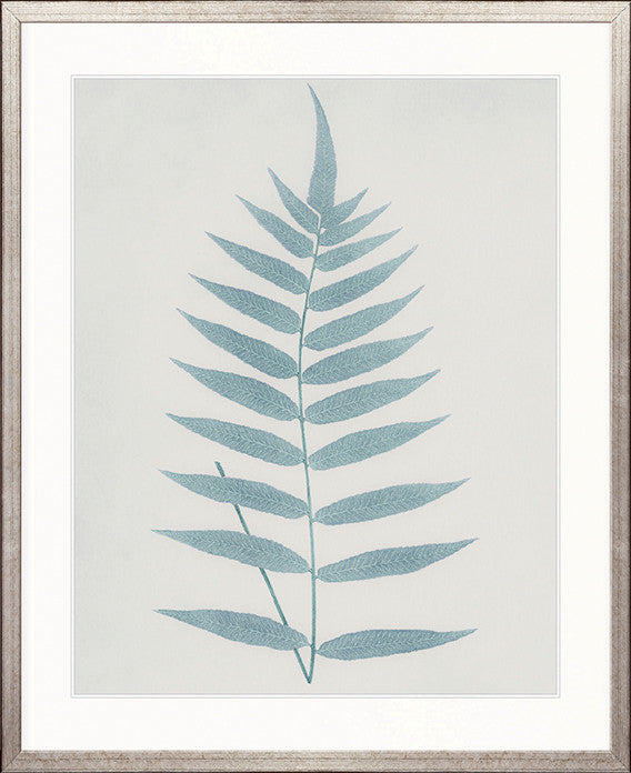 Forest Fern VI