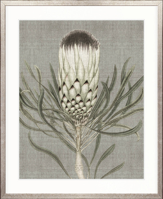 Botanist Specimen IV