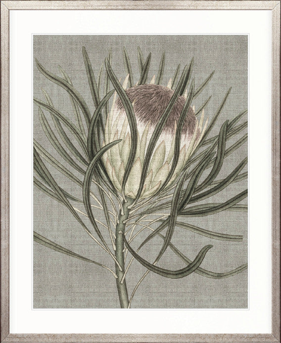 Botanist Specimen V