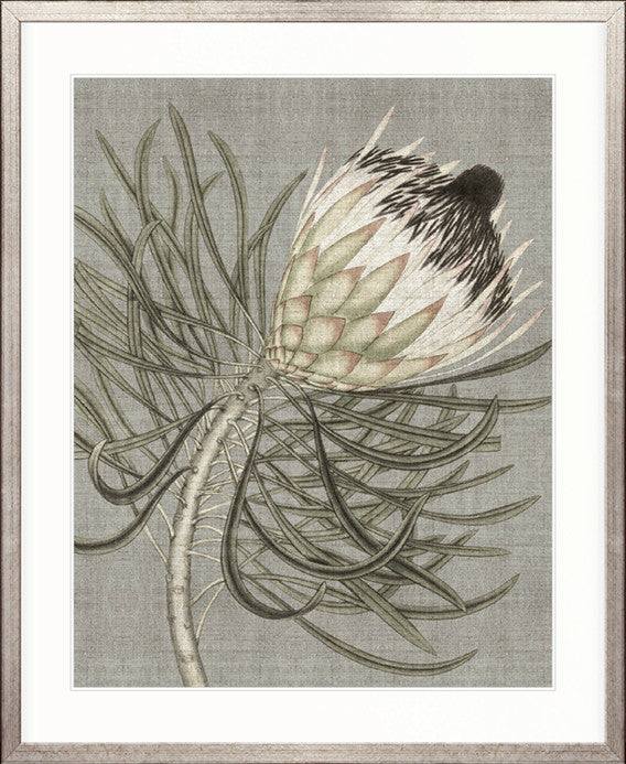 Botanist Specimen VI