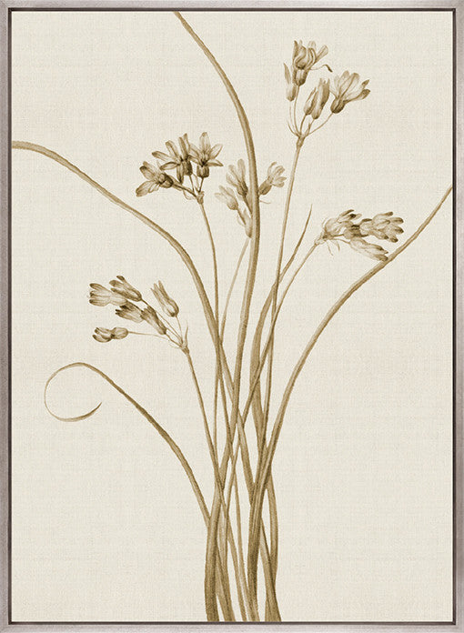 Floral Medley III (Canvas)