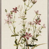 Floral Medley VI (Canvas)