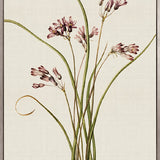 Floral Medley VII (Canvas)