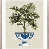 Ornate Palm II