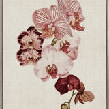 Delicate Orchid Bouquet I (Canvas)