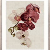 Delicate Orchid Bouquet II