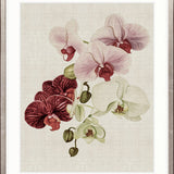 Delicate Orchid Bouquet III