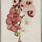 Delicate Orchid Bouquet IV Canvas