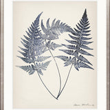 Nature Print I