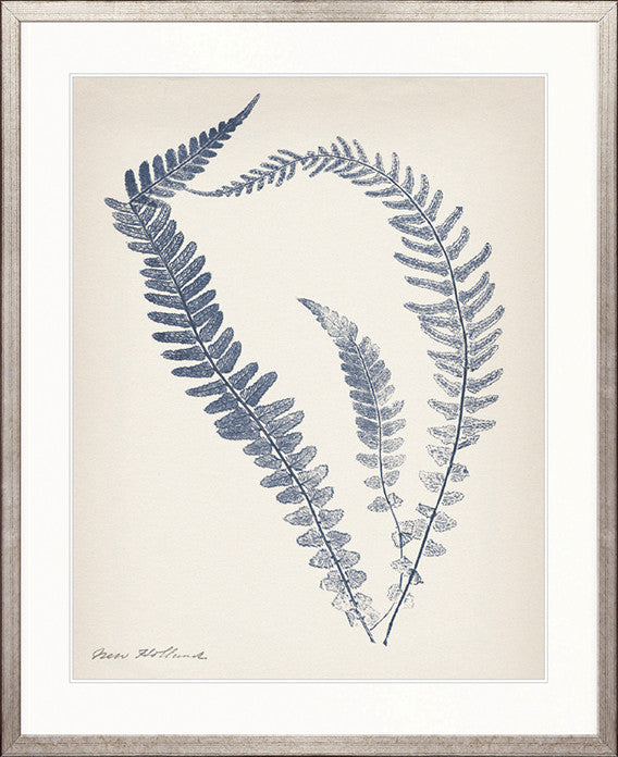 Nature Print II
