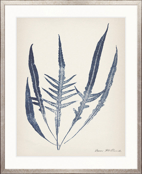 Nature Print III