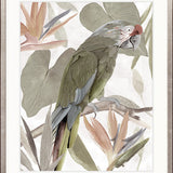 Tariku Tropical Bird I