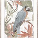 Tariku Tropical Bird IV