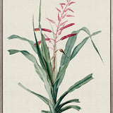 Tiverton Floral II (Canvas)