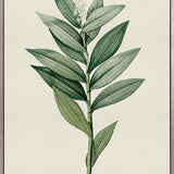 Tiverton Floral III (Canvas)