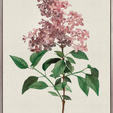 Tiverton Floral IV (Canvas)