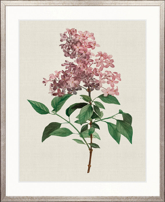 Tiverton Floral IV