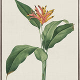 Tiverton Floral VI (Canvas)