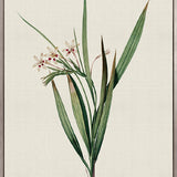 Tiverton Floral VII (Canvas)