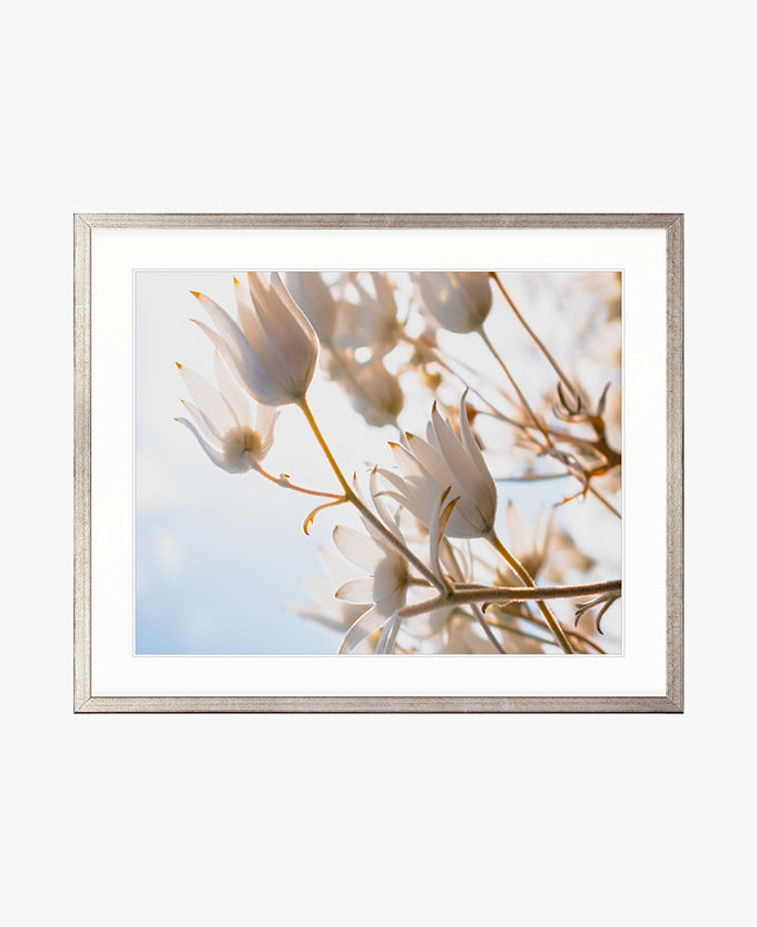 Tranquil Moments I