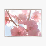 Tranquil Moments II (Canvas) Large (903mm W x 1109mm H)