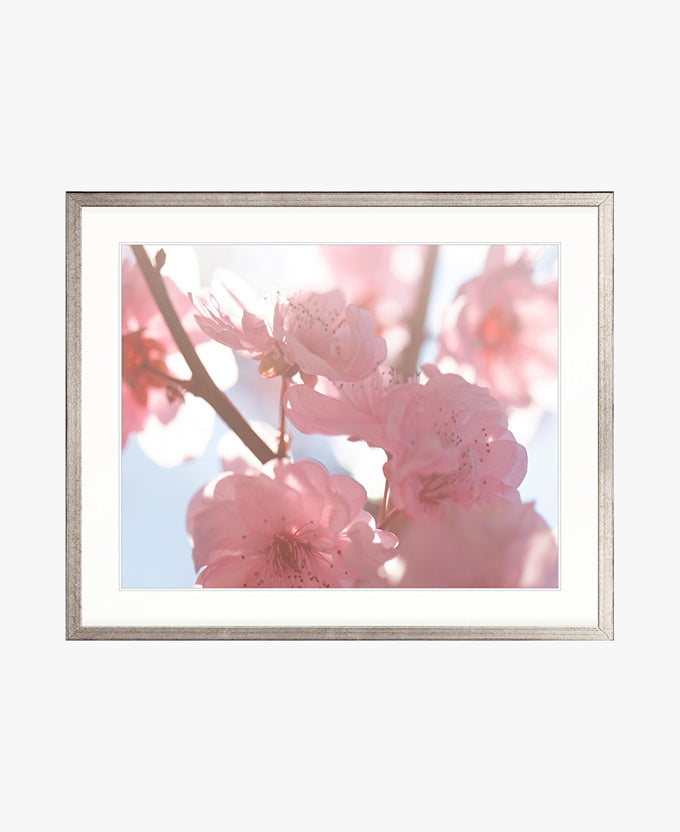 Tranquil Moments II