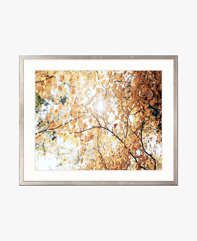 Tranquil Moments III