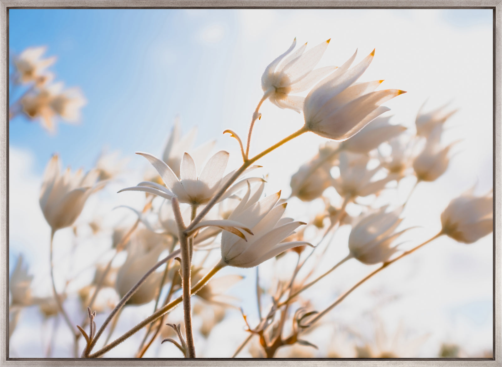 Tranquil Moments V (Canvas)