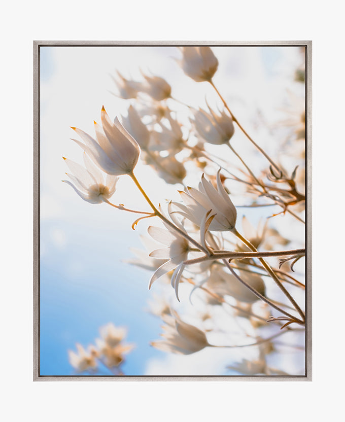 Tranquil Moments V (Canvas)