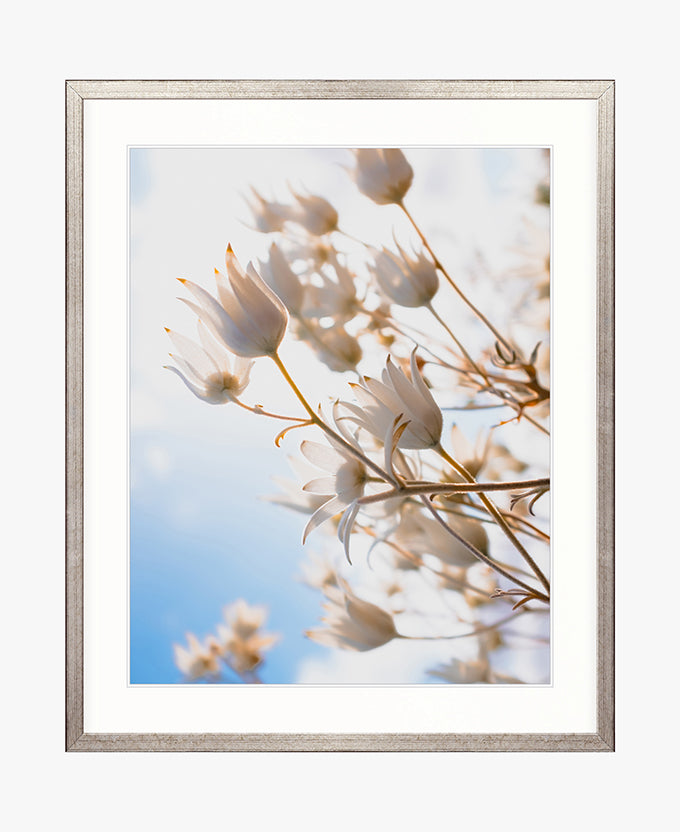 Tranquil Moments V